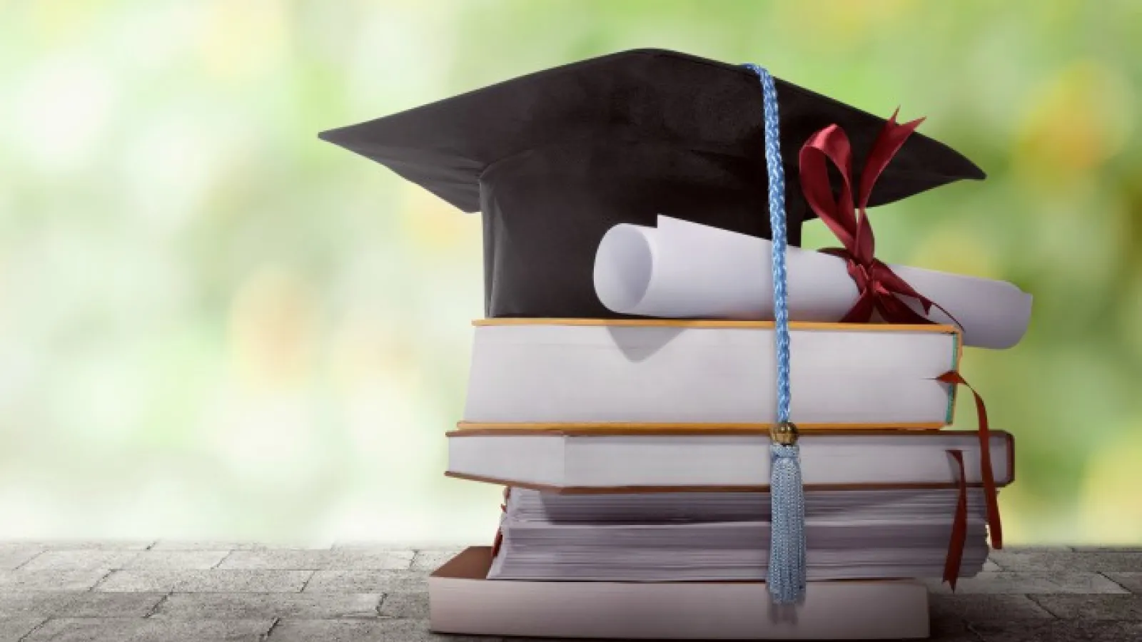 degree