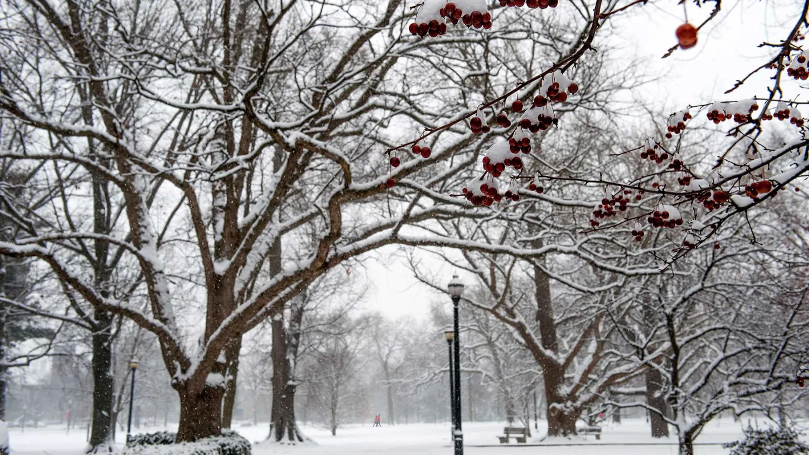 OSU winter campus