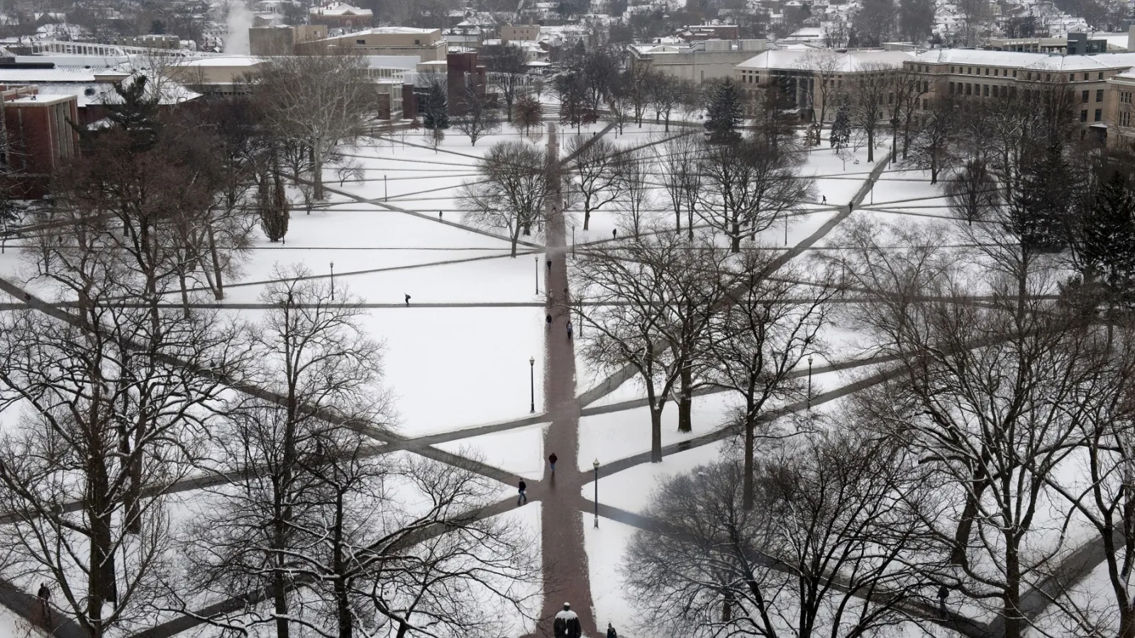 Oval winter