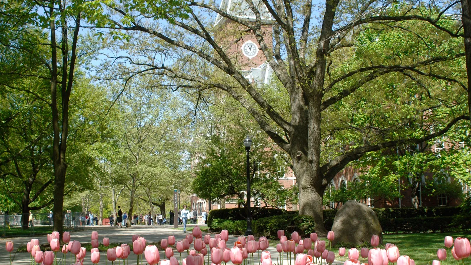 spring