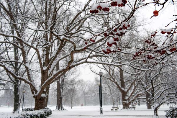 OSU winter campus