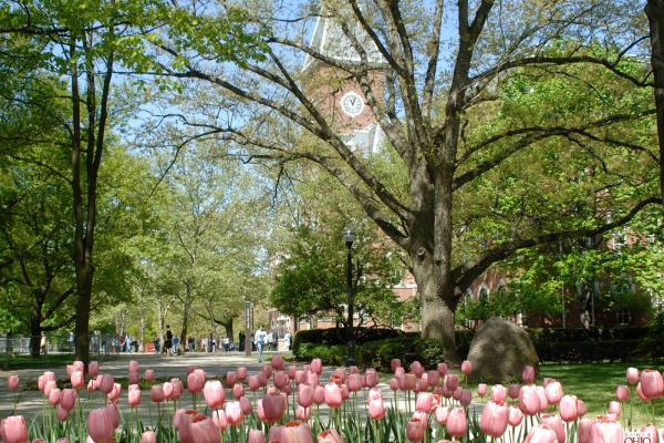 spring